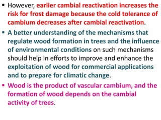  However, earlier cambial reactivation increases the
risk for frost damage because the cold tolerance of
cambium decreases after cambial reactivation.
 A better understanding of the mechanisms that
regulate wood formation in trees and the influence
of environmental conditions on such mechanisms
should help in efforts to improve and enhance the
exploitation of wood for commercial applications
and to prepare for climatic change.
 Wood is the product of vascular cambium, and the
formation of wood depends on the cambial
activity of trees.
 
