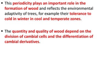  This periodicity plays an important role in the
formation of wood and reflects the environmental
adaptivity of trees, for example their tolerance to
cold in winter in cool and temperate zones.
 The quantity and quality of wood depend on the
division of cambial cells and the differentiation of
cambial derivatives.
 