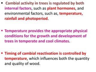  Cambial activity in trees is regulated by both
internal factors, such as plant hormones, and
environmental factors, such as, temperature,
rainfall and photoperiod.
 Temperature provides the appropriate physical
conditions for the growth and development of
trees in temperate and cool climates.
 Timing of cambial reactivation is controlled by
temperature, which influences both the quantity
and quality of wood.
 