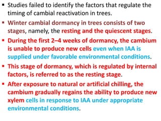  Studies failed to identify the factors that regulate the
timing of cambial reactivation in trees.
 Winter cambial dormancy in trees consists of two
stages, namely, the resting and the quiescent stages.
 During the first 2–4 weeks of dormancy, the cambium
is unable to produce new cells even when IAA is
supplied under favorable environmental conditions.
 This stage of dormancy, which is regulated by internal
factors, is referred to as the resting stage.
 After exposure to natural or artificial chilling, the
cambium gradually regains the ability to produce new
xylem cells in response to IAA under appropriate
environmental conditions.
 