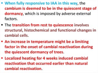  When fully responsive to IAA in this way, the
cambium is deemed to be in the quiescent stage of
dormancy, which is imposed by adverse external
factors.
 The transition from rest to quiescence involves
structural, histochemical and functional changes in
cambial cells.
 An increase in temperature might be a limiting
factor in the onset of cambial reactivation during
the quiescent dormancy of trees.
 Localized heating for 4 weeks induced cambial
reactivation that occurred earlier than natural
cambial reactivation.
 