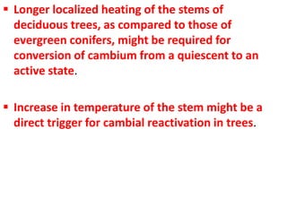  Longer localized heating of the stems of
deciduous trees, as compared to those of
evergreen conifers, might be required for
conversion of cambium from a quiescent to an
active state.
 Increase in temperature of the stem might be a
direct trigger for cambial reactivation in trees.
 