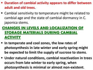  Duration of cambial activity appears to differ between
adult and old trees.
 Cambial sensitivity to temperature might be related to
cambial age and the state of cambial dormancy in C.
japonica stems.
CHANGES IN LEVELS AND LOCALIZATION OF
STORAGE MATERIALS DURING CAMBIAL
ACTIVITY
 In temperate and cool zones, the low rates of
photosynthesis in late winter and early spring might
be expected to limit the supply of sucrose to stems.
 Under natural conditions, cambial reactivation in trees
occurs from late winter to early spring, when
photosynthesis is minimal or almost non-existent.
 