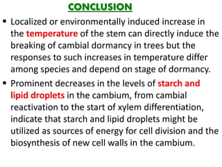CONCLUSION
 Localized or environmentally induced increase in
the temperature of the stem can directly induce the
breaking of cambial dormancy in trees but the
responses to such increases in temperature differ
among species and depend on stage of dormancy.
 Prominent decreases in the levels of starch and
lipid droplets in the cambium, from cambial
reactivation to the start of xylem differentiation,
indicate that starch and lipid droplets might be
utilized as sources of energy for cell division and the
biosynthesis of new cell walls in the cambium.
 