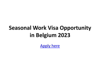 Seasonal Work Visa Opportunity
in Belgium 2023
Apply here
 