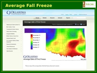 Average Fall Freeze
 