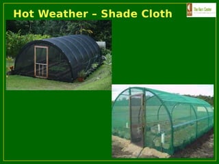 Hot Weather – Shade Cloth
 