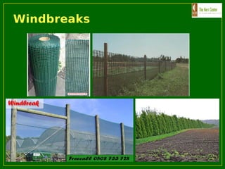 Windbreaks
 