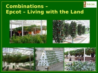 Combinations –
Epcot – Living with the Land
 