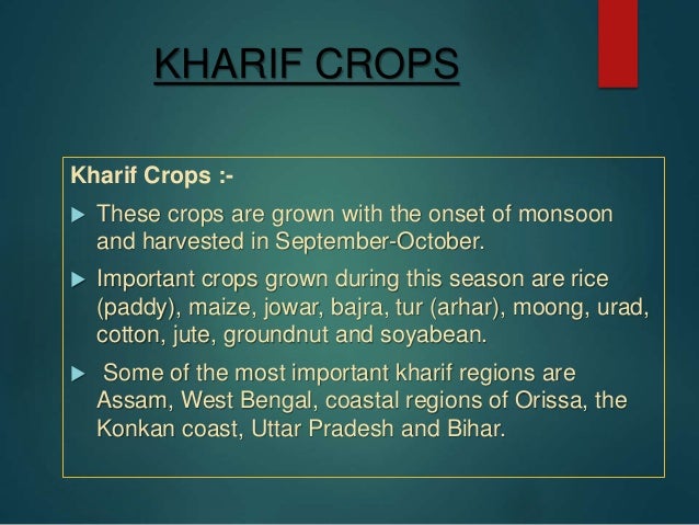 seasons crops and loo class 9 ppt crops ppt
