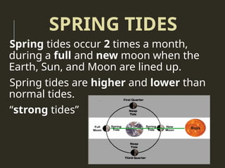 When R Spring Tides Season, Moon Phases and Tides. Phases of the moon. | PPTX