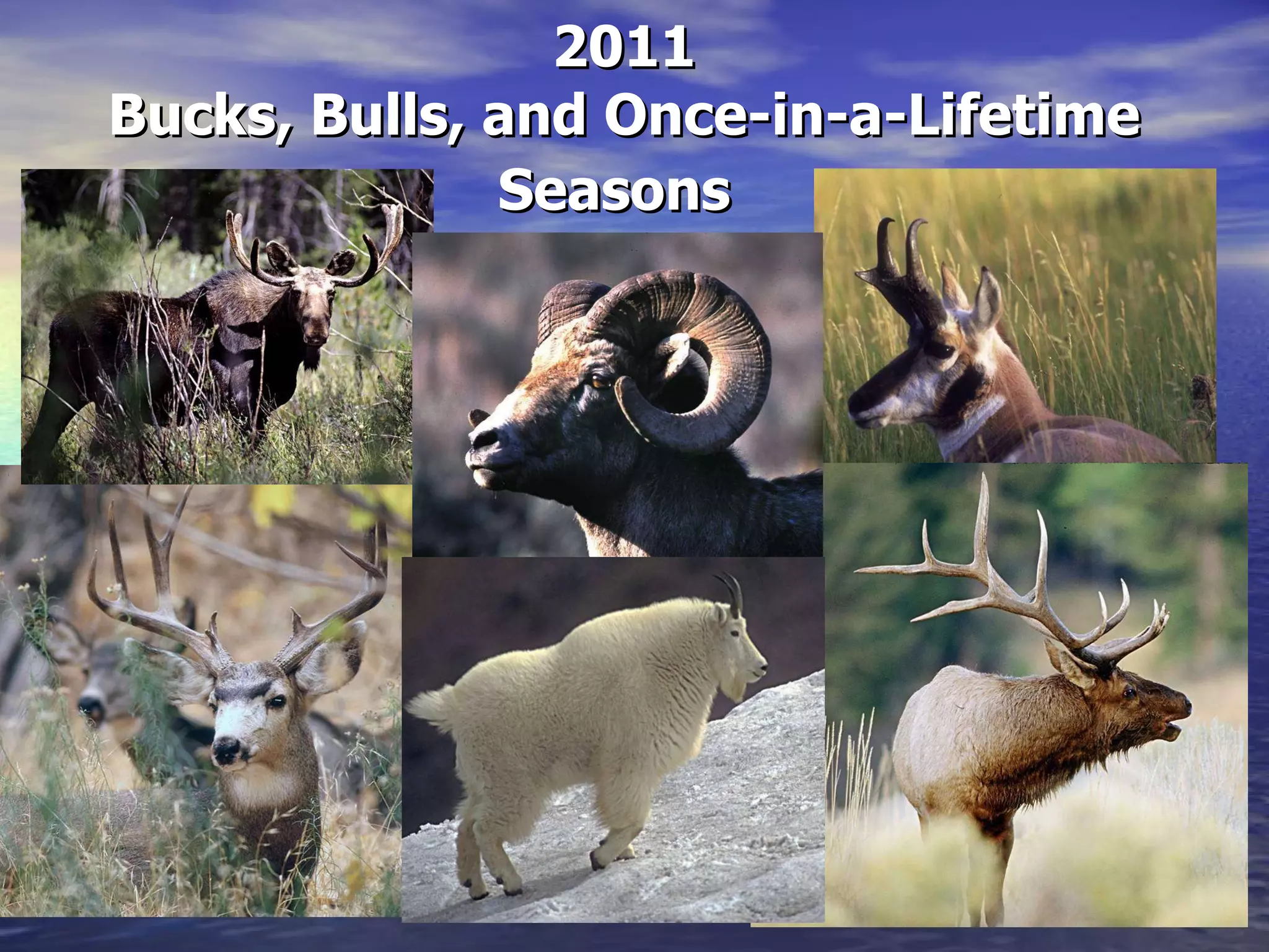 2011 Utah Hunting Seasons PPT