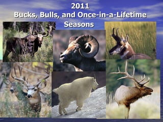 2011 Bucks, Bulls, and Once-in-a-Lifetime Seasons   