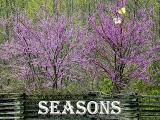 SEASONS