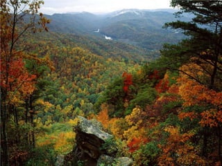 Seasons