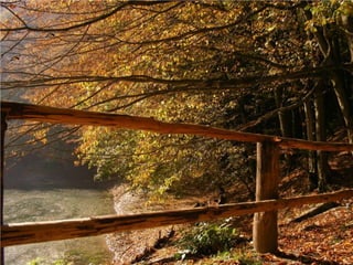 Seasons