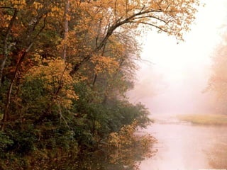 Seasons
