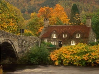 Seasons