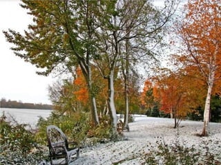 Seasons