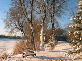 Seasons
