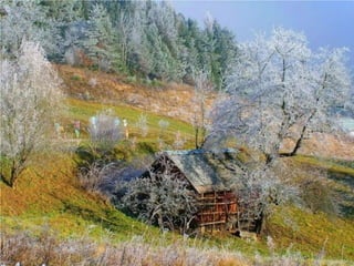 Seasons