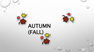 AUTUMN
(FALL)
 
