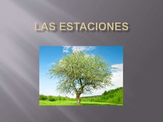 Seasons in Spanish
