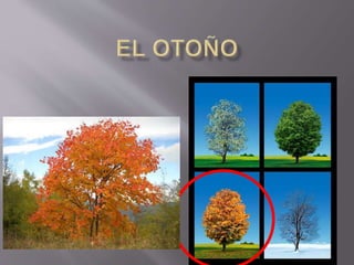 Seasons in Spanish