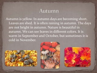 Autumn is yellow. In autumn days are becoming short.
Leaves are shed. It is often raining in autumn. The days
are not bright in autumn. Nature is beautiful in
autumn. We can see leaves in different colors. It is
warm in September and October, but sometimes it is
cold in November.
 
