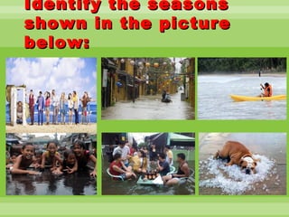 Identify the seasonsIdentify the seasons
shown in the pictureshown in the picture
below:below:
 