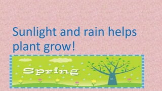 Sunlight and rain helps
plant grow!
 