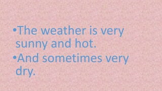 •The weather is very
sunny and hot.
•And sometimes very
dry.
 