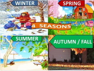 SUMMER
WINTER SPRING
AUTUMN / FALL
 