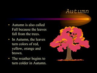 Autumn
• Autumn is also called
Fall because the leaves
fall from the trees.
• In Autumn, the leaves
turn colors of red,
yellow, orange and
brown.
• The weather begins to
turn colder in Autumn.
 