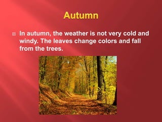  In autumn, the weather is not very cold and
windy. The leaves change colors and fall
from the trees.
 