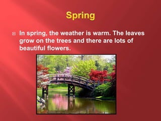  In spring, the weather is warm. The leaves
grow on the trees and there are lots of
beautiful flowers.
 