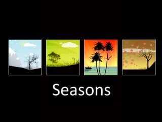 Seasons S Seasons 