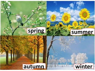 Seasons and weather | PPTX