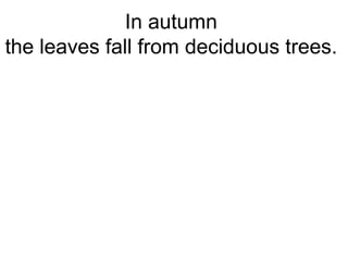 In autumn
the leaves fall from deciduous trees.
 