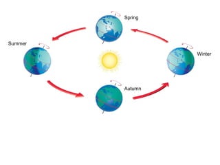 Winter
Spring
Summer
Autumn
 