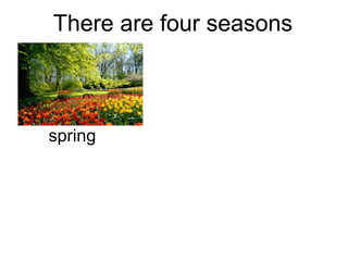 There are four seasons
spring
 