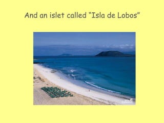 And an islet called “Isla de Lobos”
 