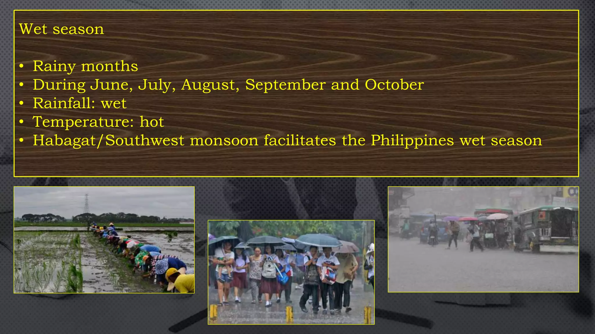 Wet season
• Rainy months
• During June, July, August, September and October
• Rainfall: wet
• Temperature: hot
• Habagat/Southwest monsoon facilitates the Philippines wet season