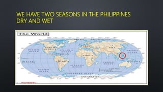 Seasons in the philippines | PPTX