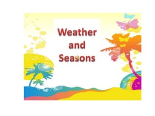 Seasons jay
