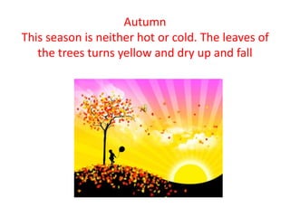 Autumn
This season is neither hot or cold. The leaves of
the trees turns yellow and dry up and fall
 