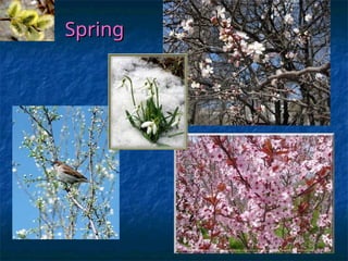 Understanding Seasons and Weather Patterns: A Comprehensive Guide for ...