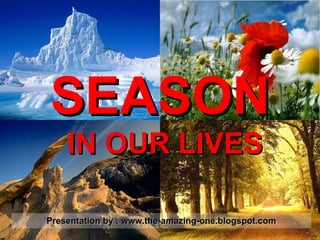 SEASON   IN OUR LIVES Presentation by : www.the-amazing-one.blogspot.com 