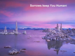 Sorrows keep You Human !   
