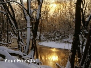 Your Friends! 